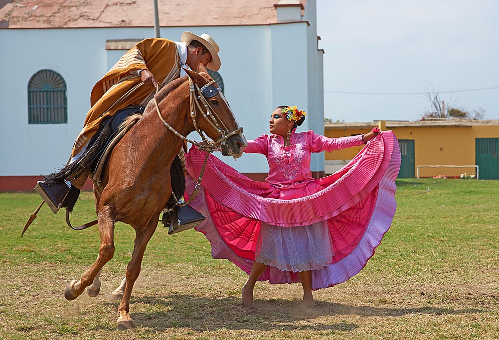 Traditional folk dancing with Peruvian Paso horses