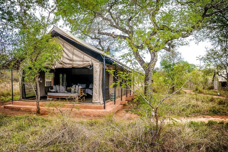 The tented camp in the reserve