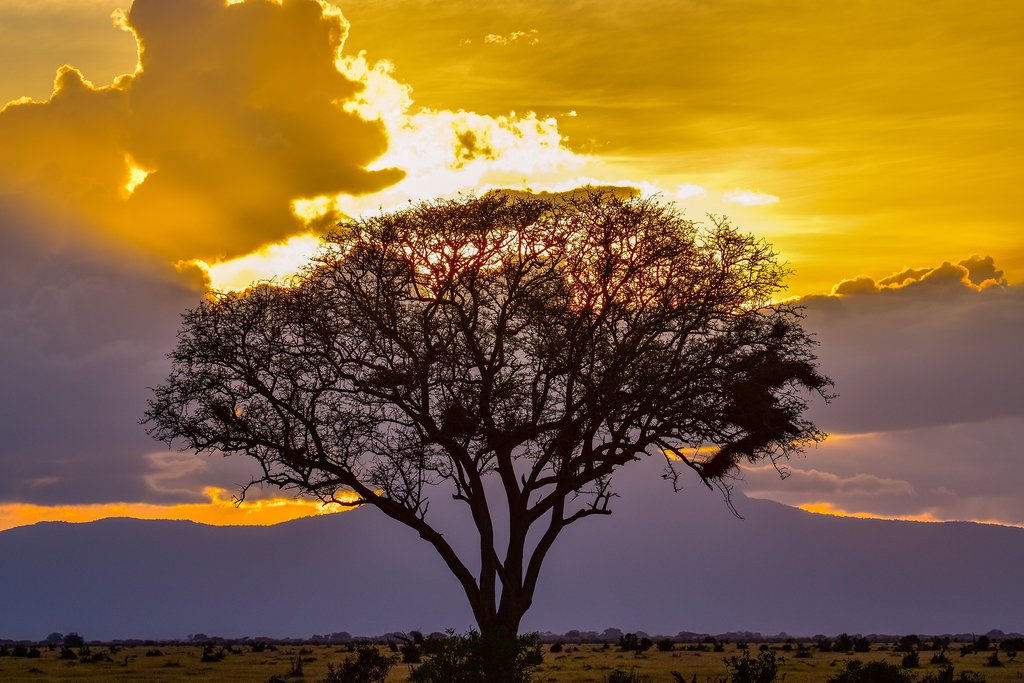 Tsavo National Park