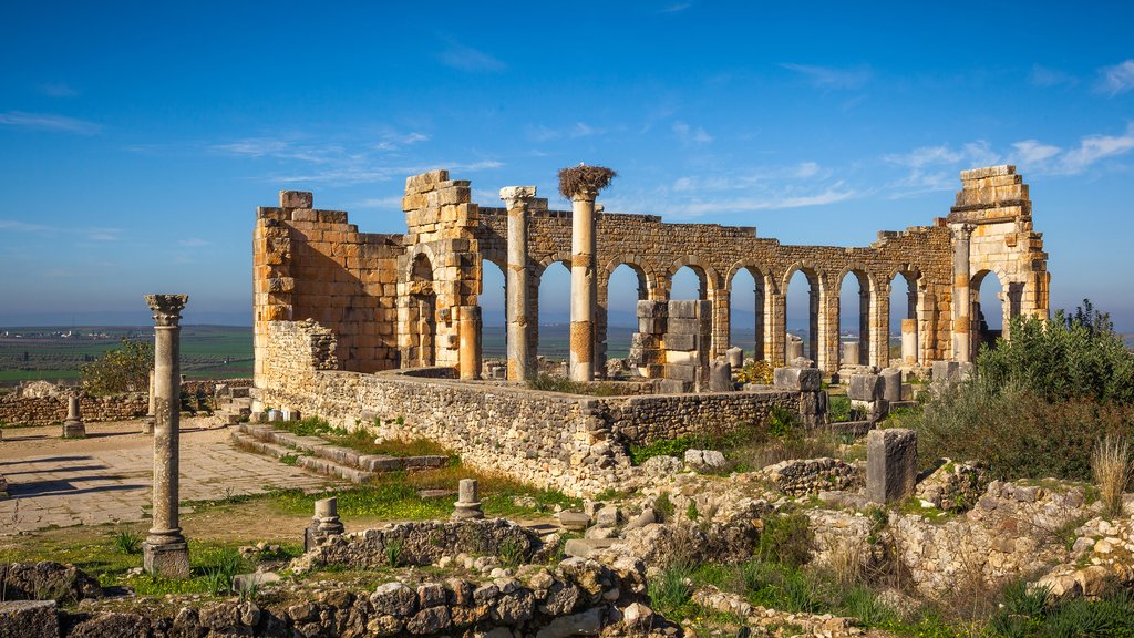 Roman ruins of Volubilis