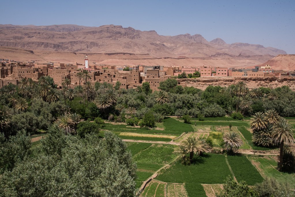 A view over the oases near Tinerhir