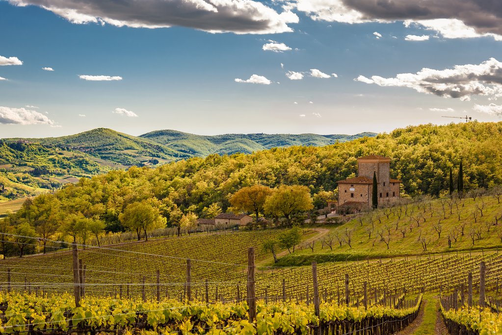 Radda in Chianti Countryside