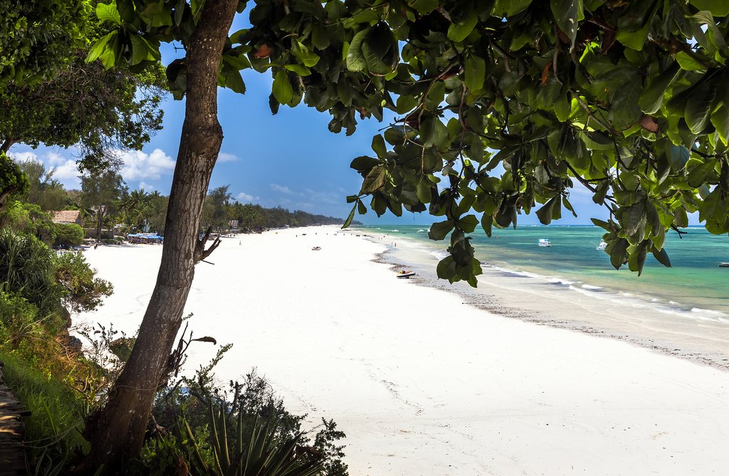The white sand beach of Diani