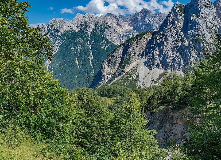 Vršič Mountain Pass greenery during summer months