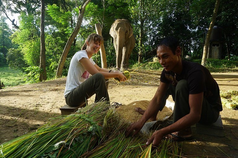 Spend time with a mahout and learn how to prepare elephant food