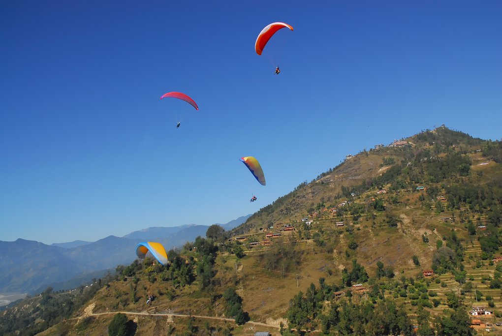 Paragliders descending from Sarangkot Hill
