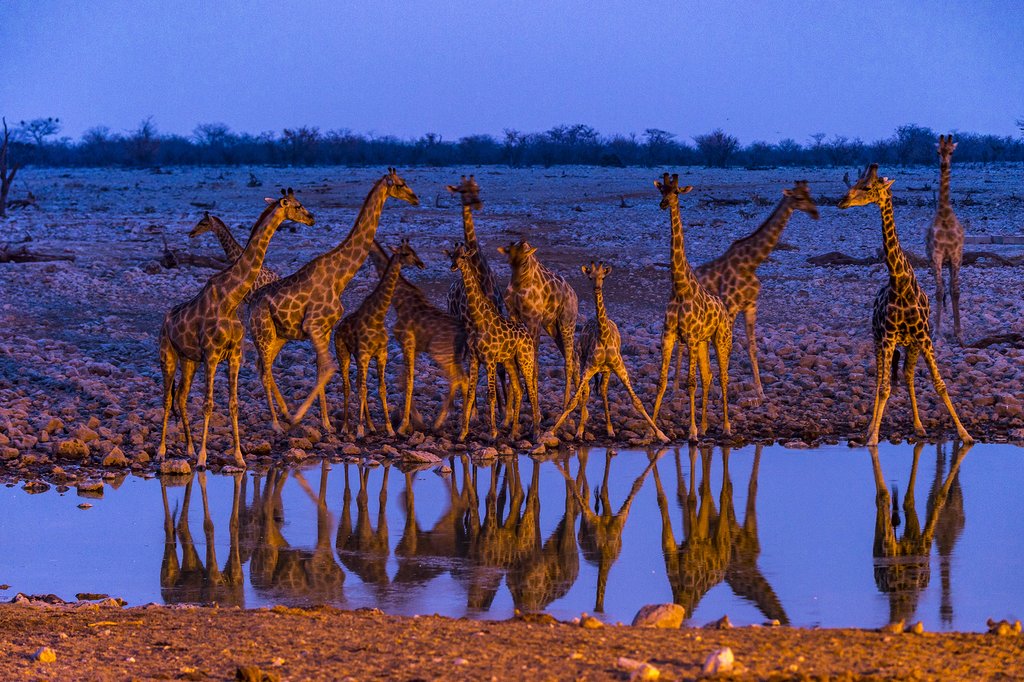 Etosha at Sunset
