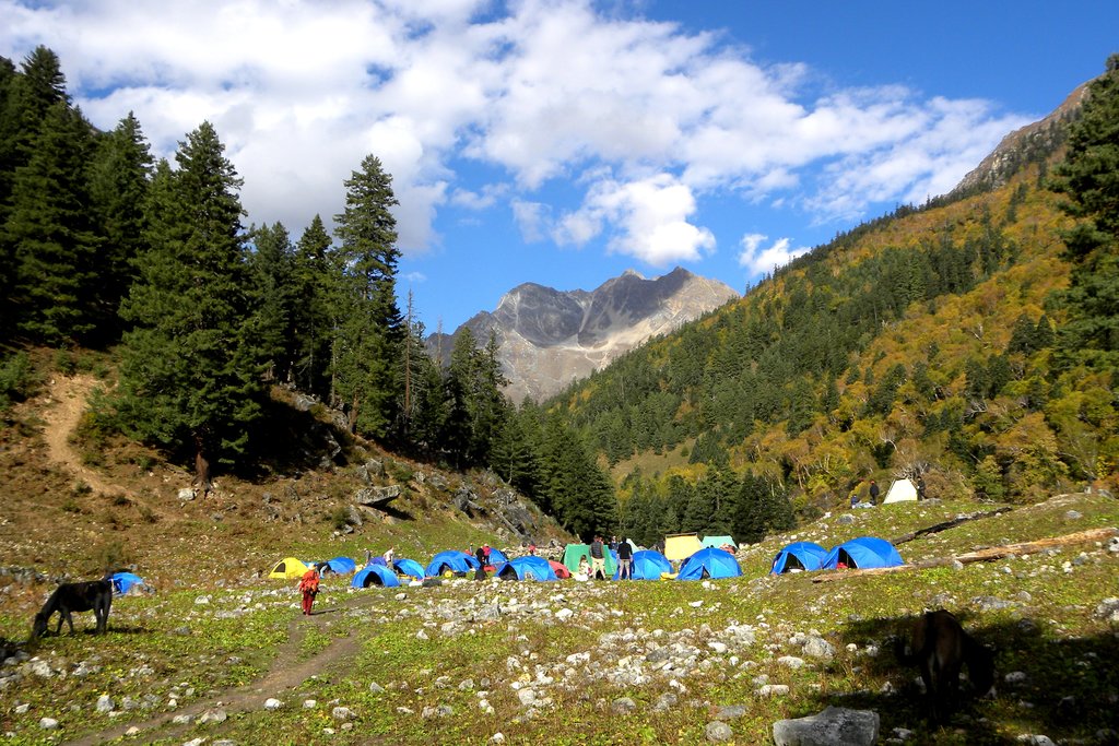 Camping at Lekh Dinga surrounded by thick forests