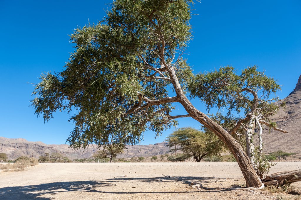 Dry landscapes in the Hardap region