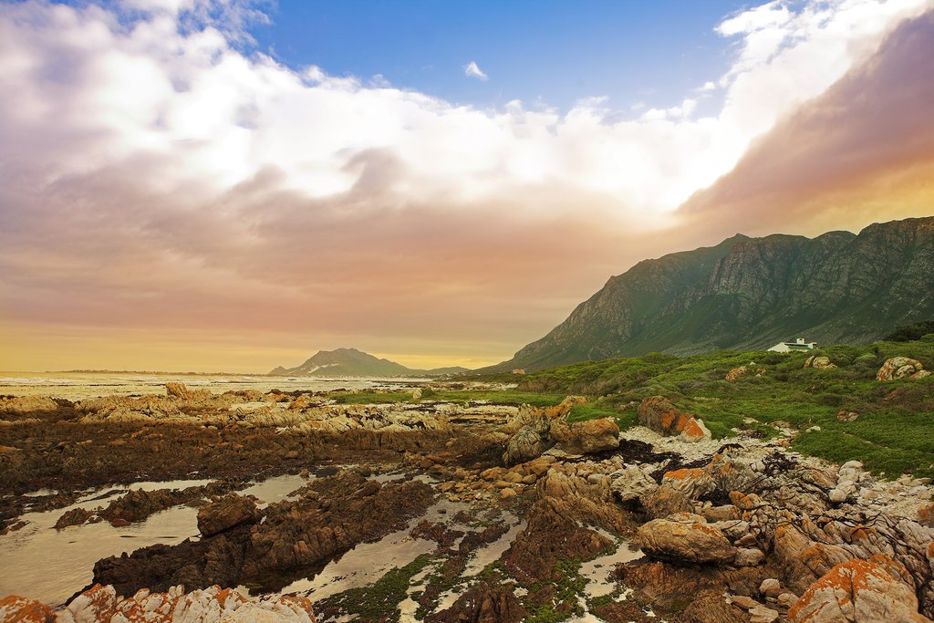 Western Cape landscape