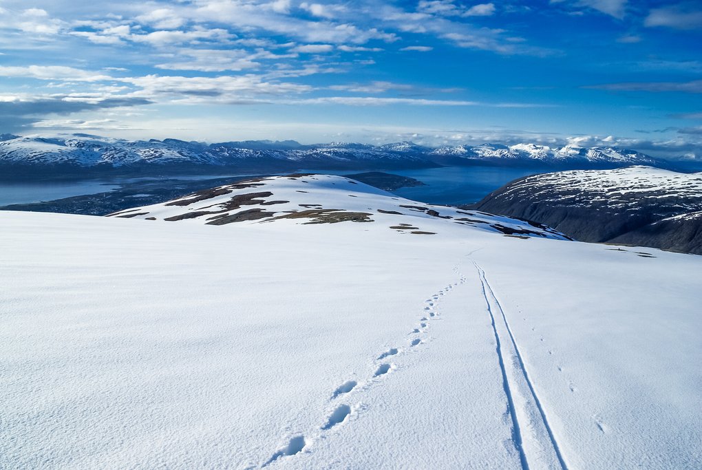 Go snowshoeing or winter hiking in the afternoon