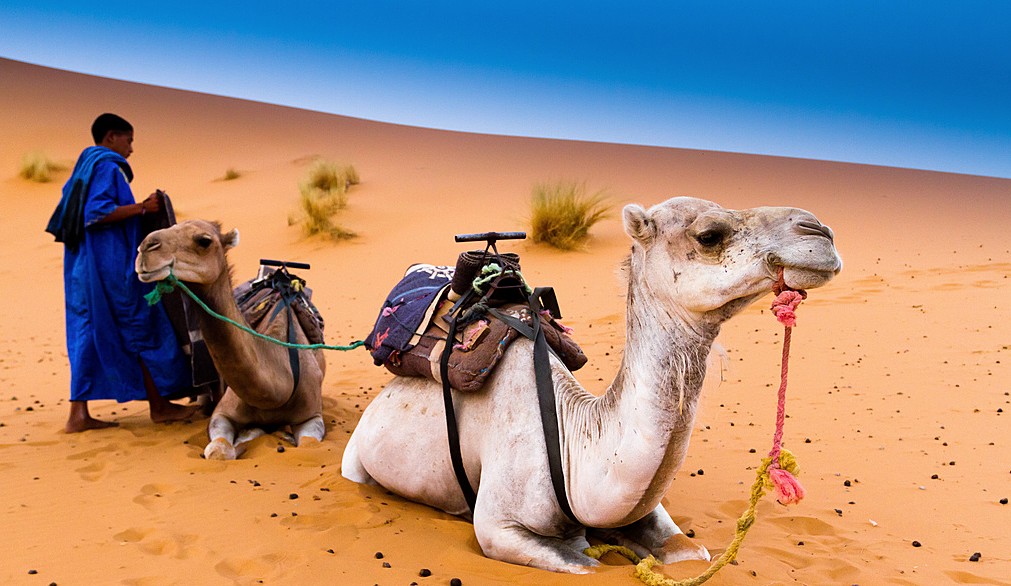 Get ready to ride across the dunes!