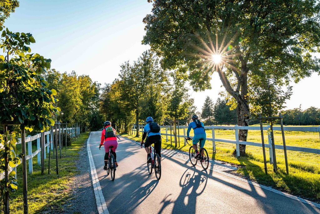 Cycling towards Lipica, home of the Lipizzaner Horses.