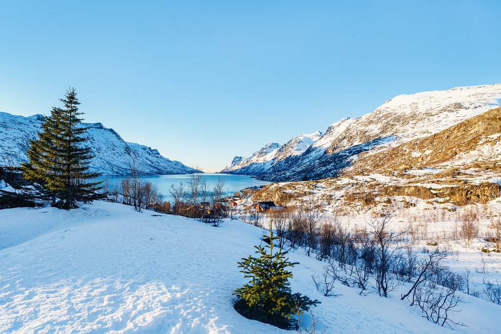 Put on some snowshoes and explore the scenery