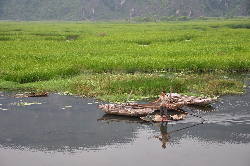 Locally made rowboats