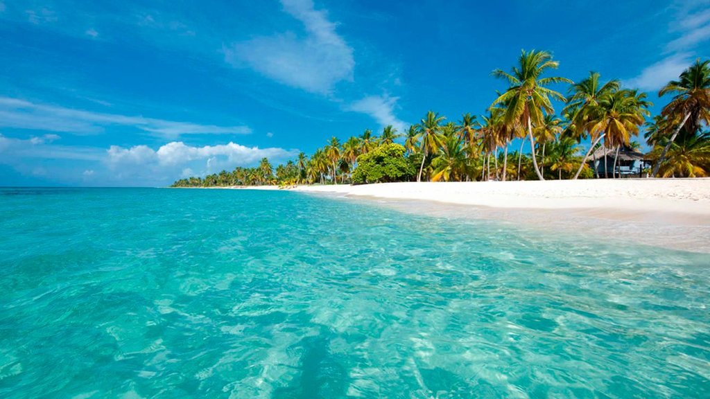 Full day excursion to Playa Rincón