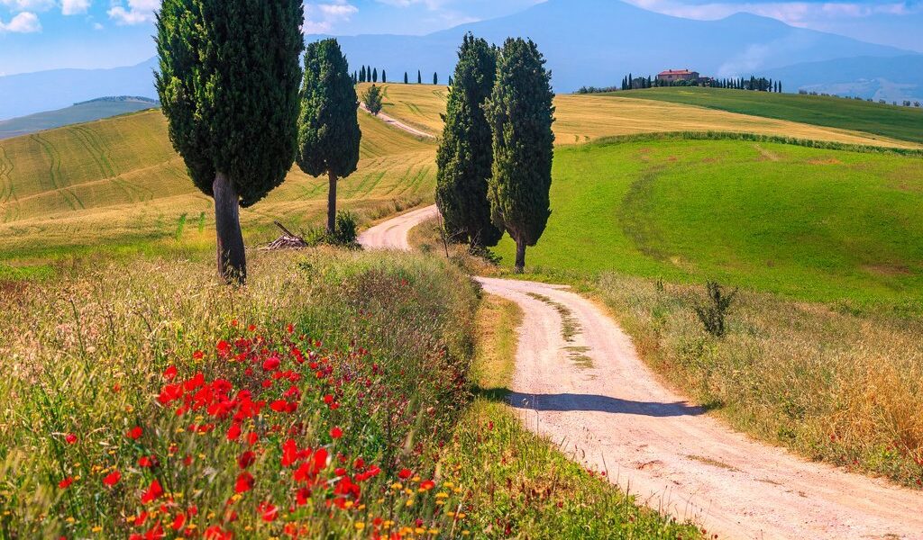 big-d655c17454f49220d185f0def53d2253