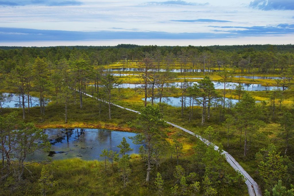Soomaa National Park