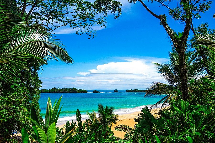 Bocas del Toro