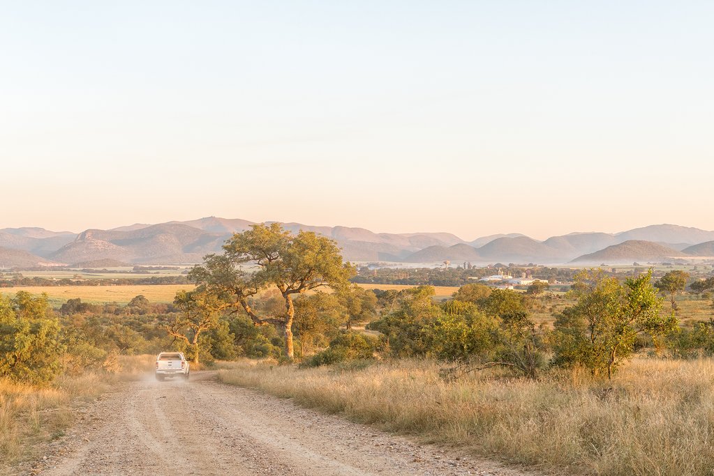 Landscape of Thornybush Game Reserve