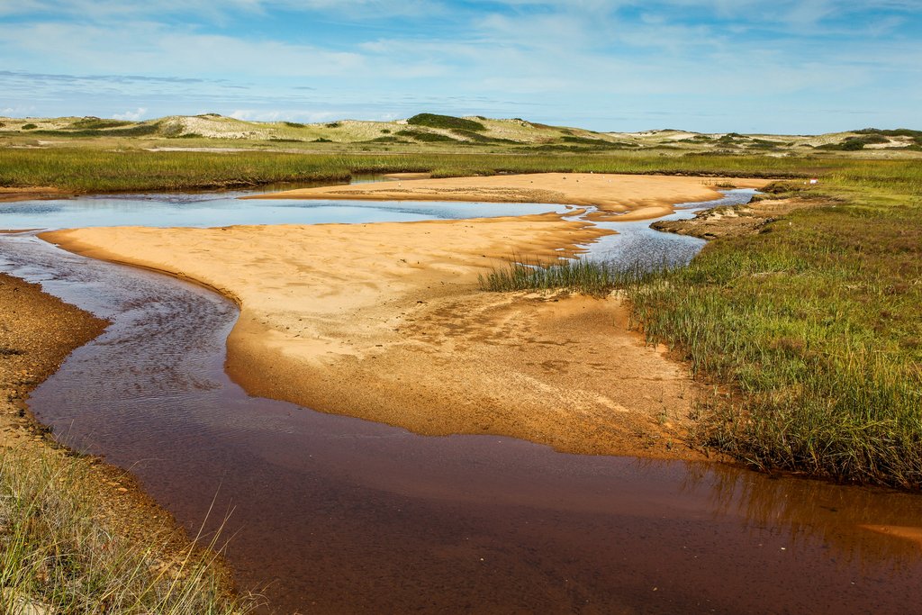 Great Island