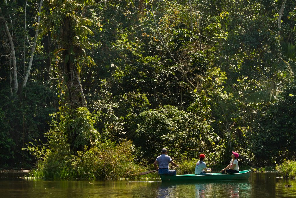Exploring the wonders of Parque Nacional Yasuni