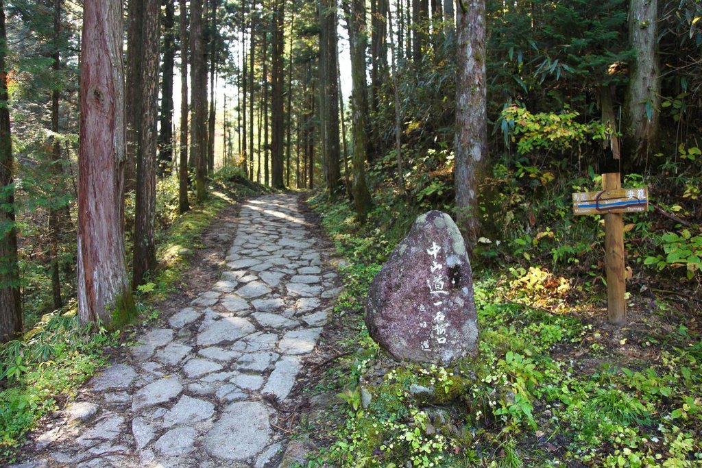The Nakasendo Trail near Tsumago.