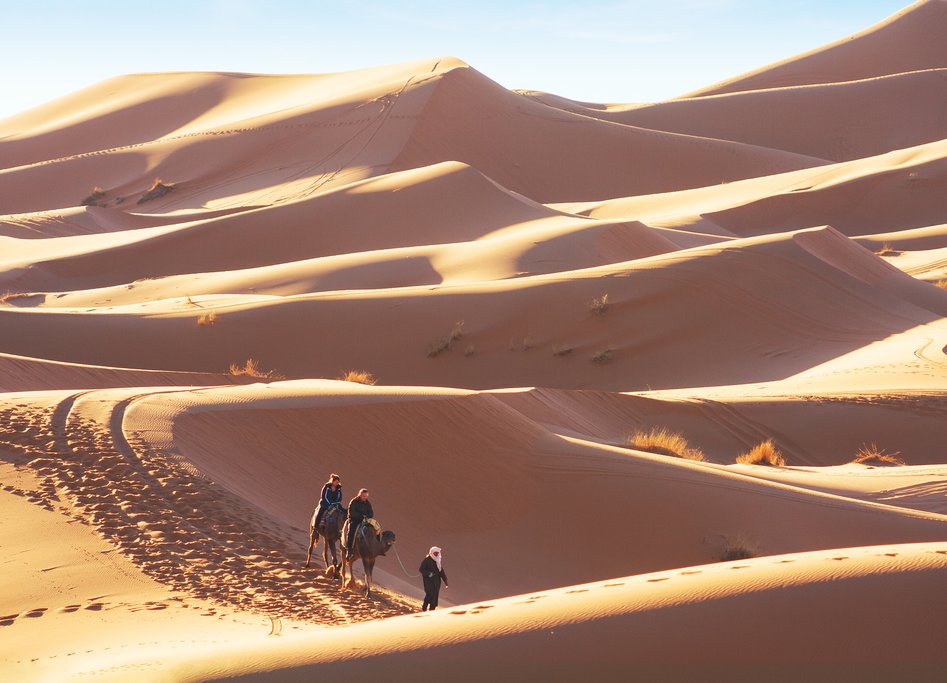 Sunny trek on camels through Erg Chebbi, near Merzouga, Morocco