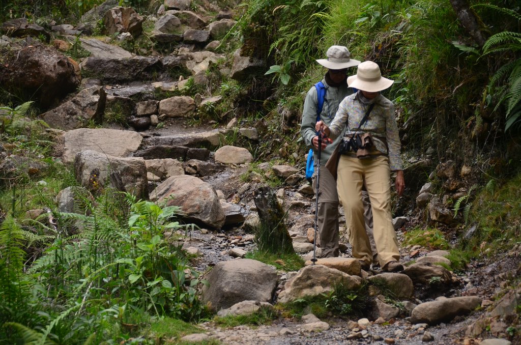 Descending on the trail