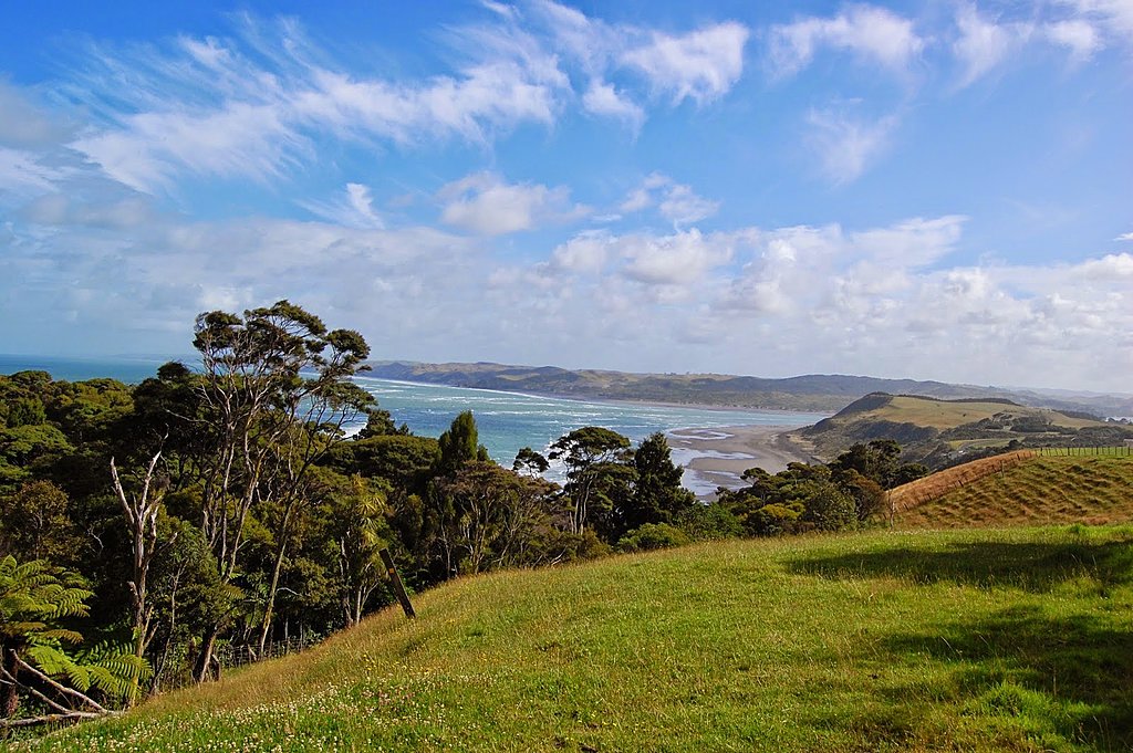 View of some of New Zealand's best surfing spots