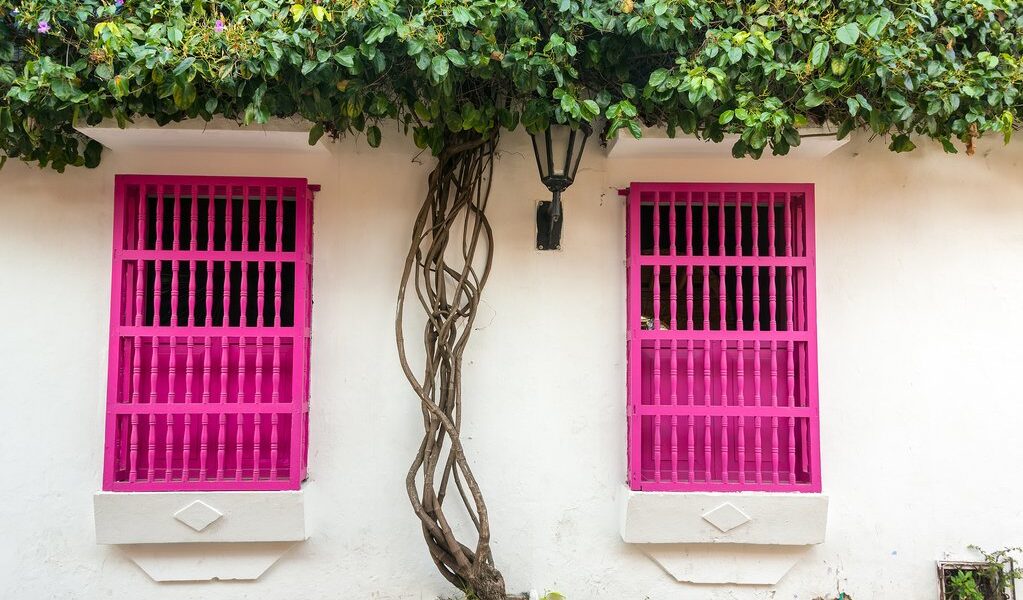Pink And White Colonial Architecture