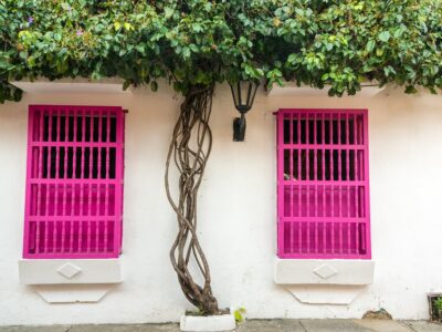 Pink And White Colonial Architecture