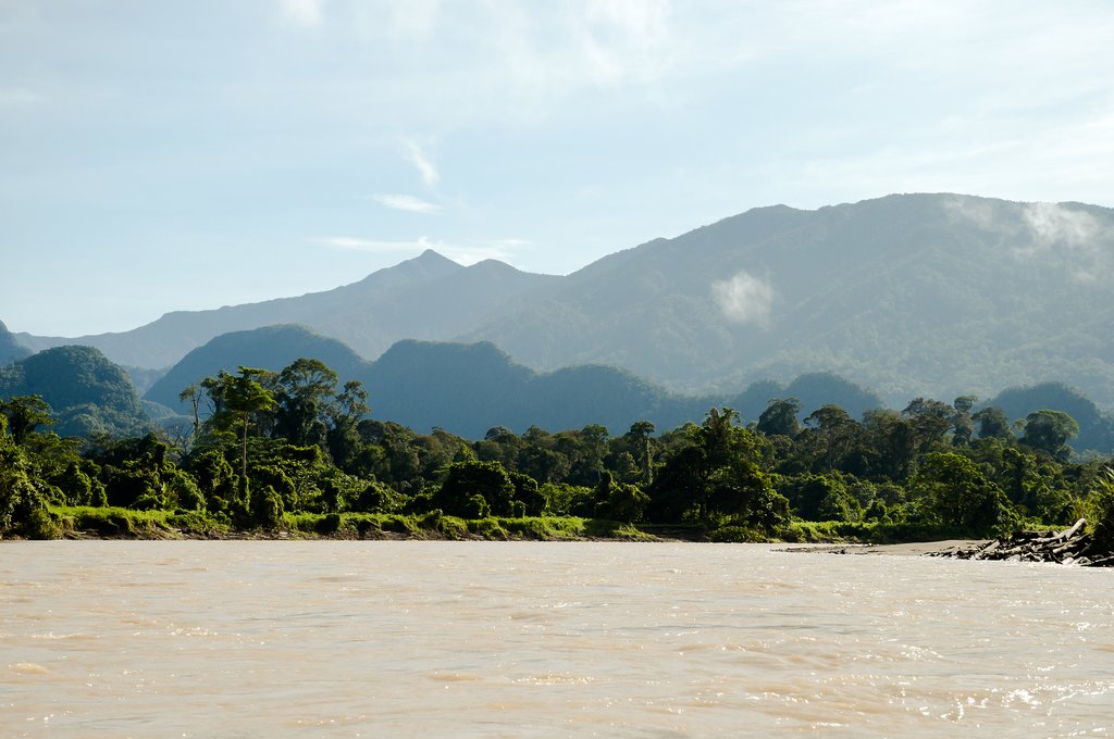 Melinau Paku River - Mulu National Park