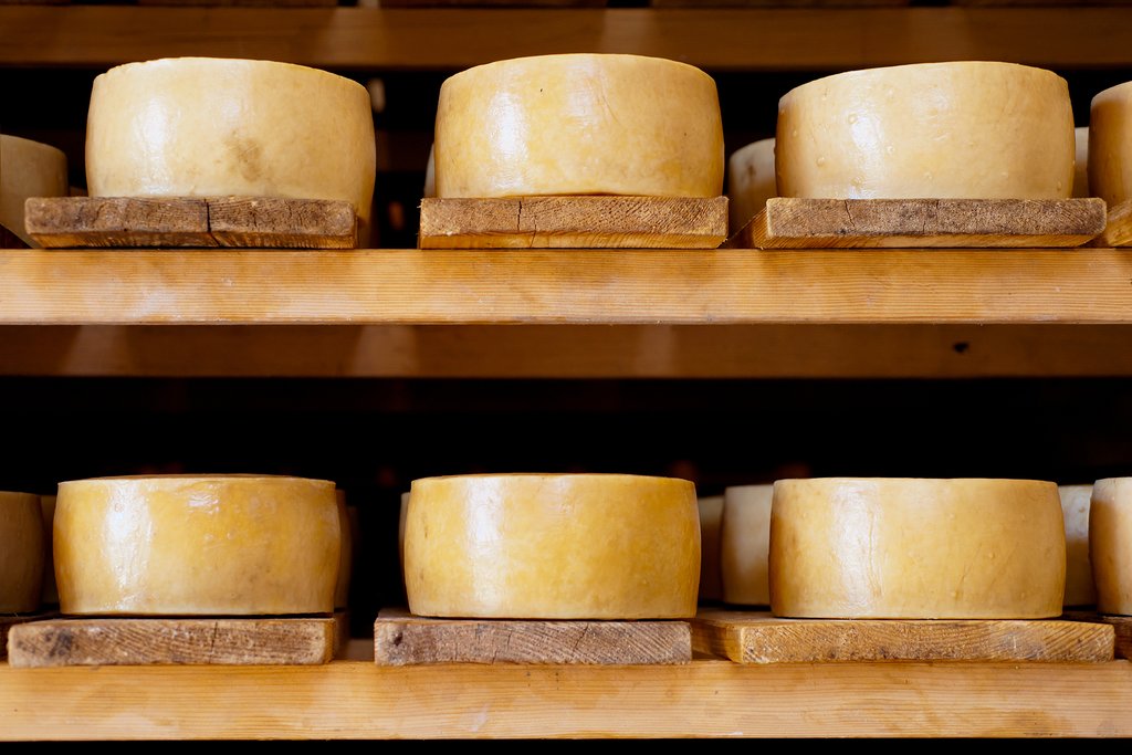 Paški sir, Croatia's celebrated cheese from Pag Island