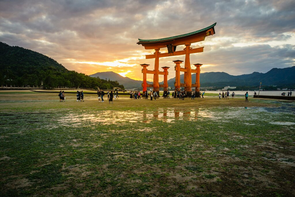 Miyajima Cruise