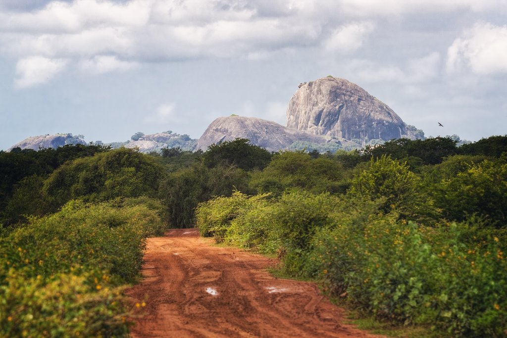 Elephant Rock, Yala National Park