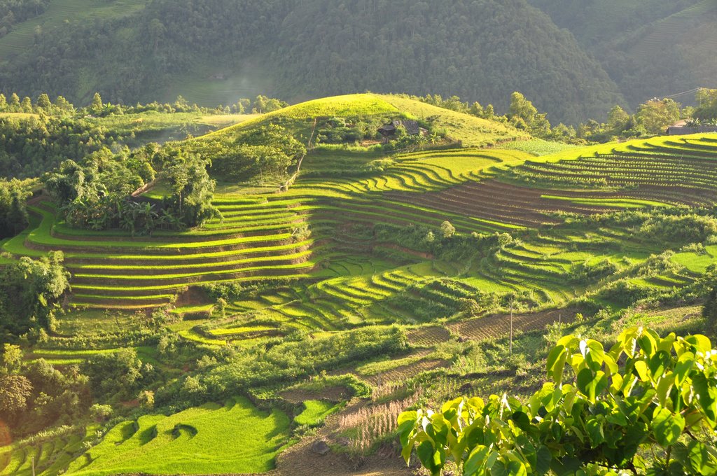 The terraced mountainsides of Sapa