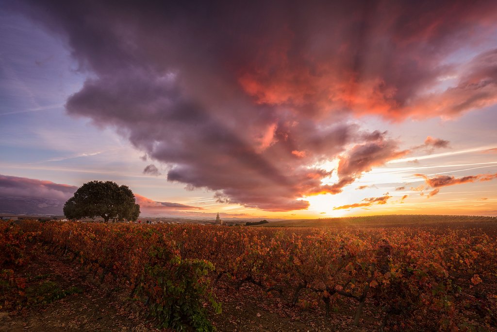 Sunset over the La Rioja vineyards