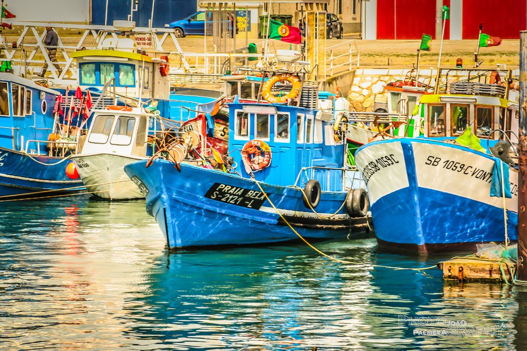 The Colorful Harbor of Setúbal