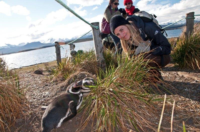 Walk with Magellanic penguins in Punta Tombo