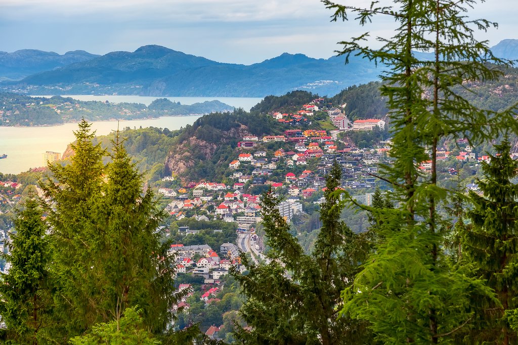 Enjoy your last morning in Bergen