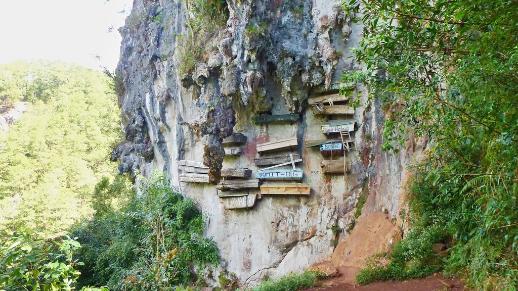 Hanging cemetery of Sagada, the Philippines