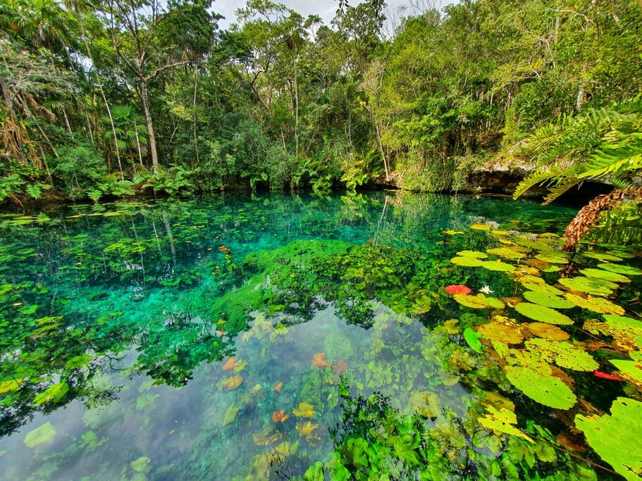 Tulum Jungle Adventure
