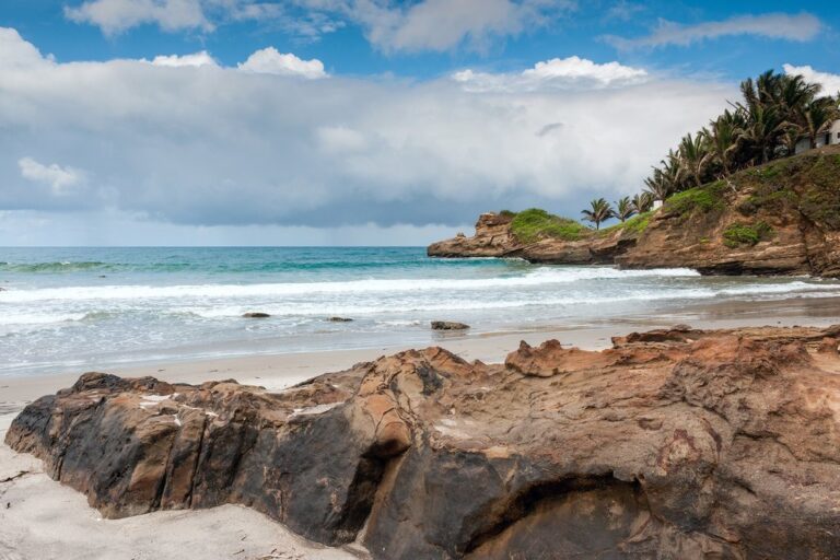 Ecuador In January Travel Tips Weather And More