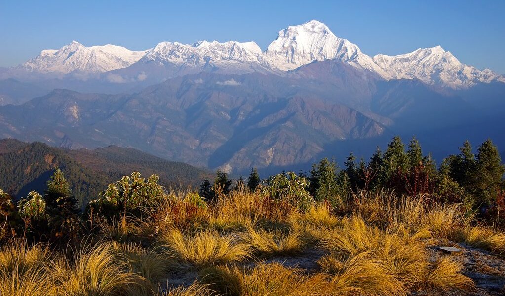 View from Poon Hill 3210m