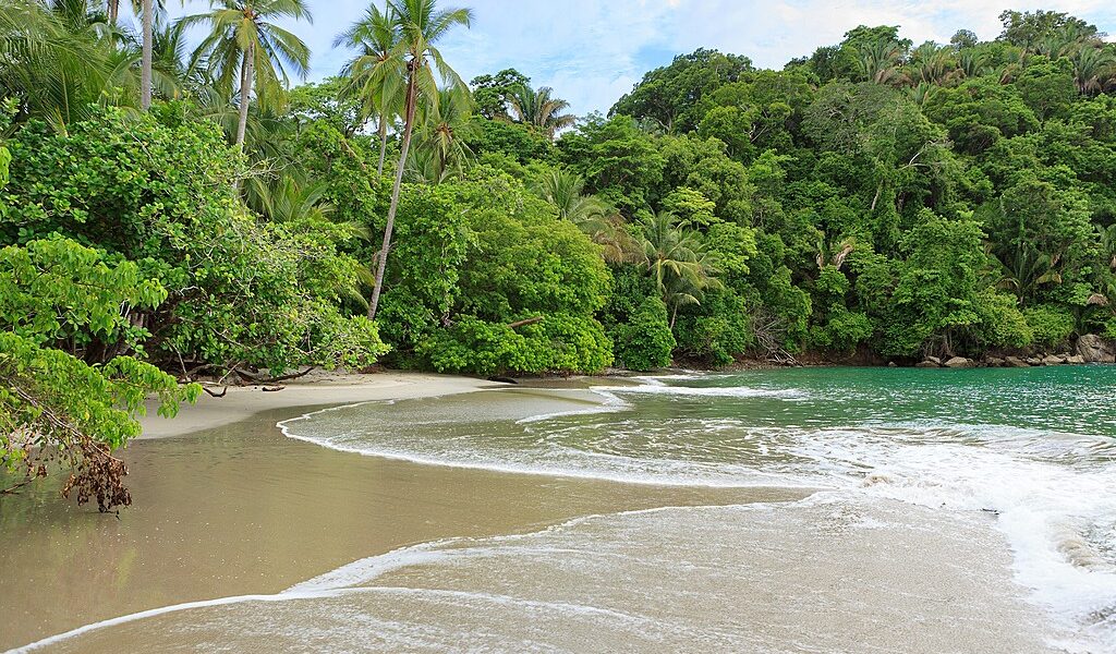 Sand beach and trees at Manuel Antonio Costa Rica