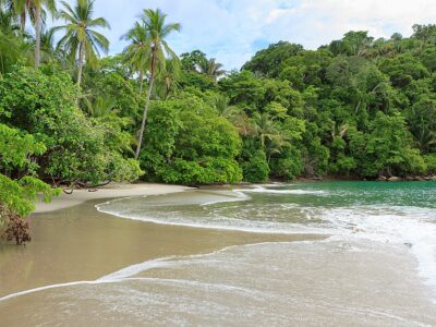 Sand beach and trees at Manuel Antonio Costa Rica