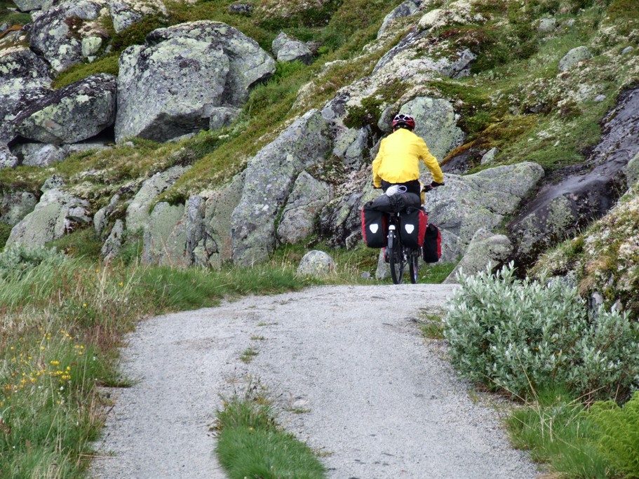 Trail along the Rallarvegen