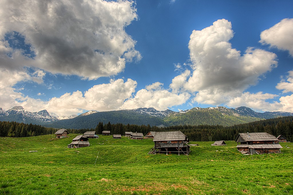 Classic cottages on the Pokljuka Plateau