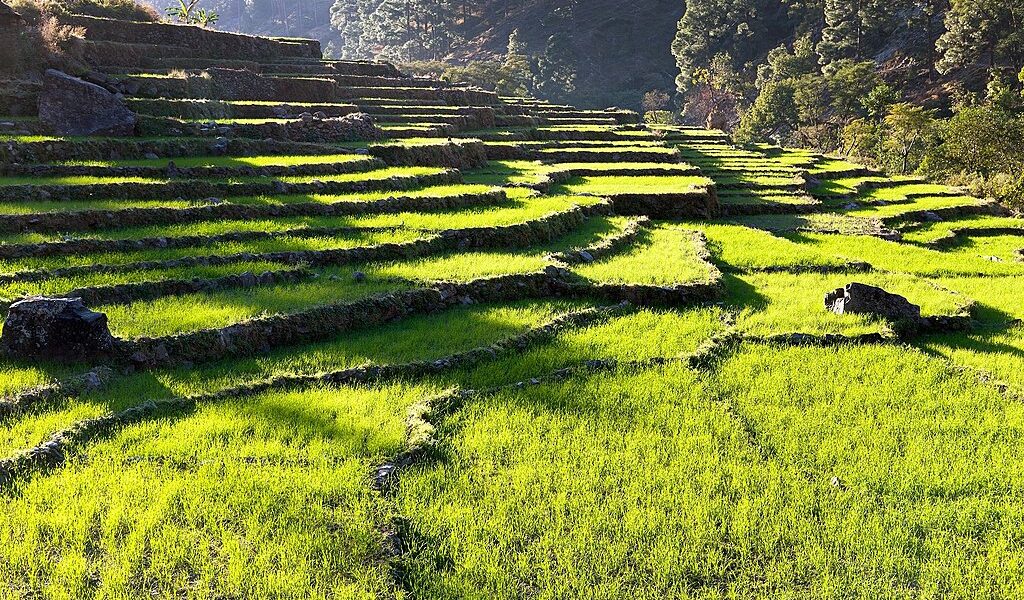 big-e28111a87beefa549cc33549ef6a3ffd